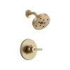Delta Trinsic Monitor 14 Series H2Okinetic Shower Trim, Champagne Bronze