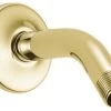 Delta Showering Components Shower Arm & Flange, Polished Brass, U4993-PB