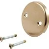 Delta Overflow Plate & Screws, No Trip Lever, Champagne Bronze, RP31556CZ